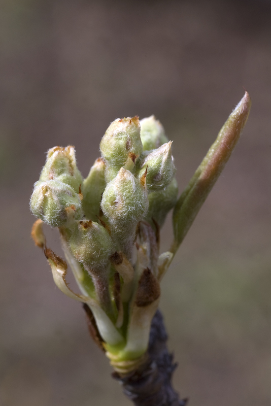 Aria di primavera...